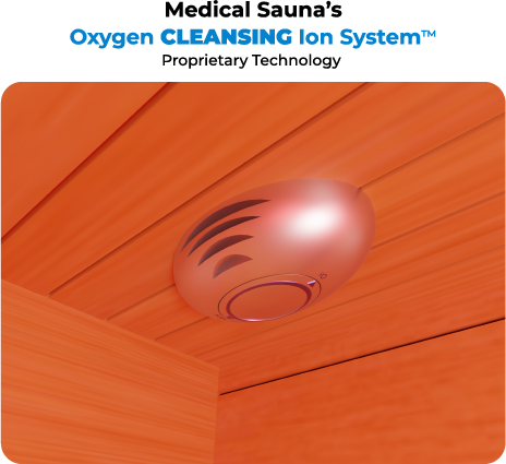 Oxygen Ion Sanitation System™